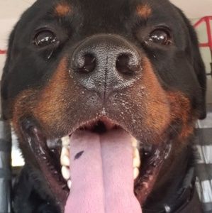 Meet your Posher, Sonia